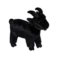 black goat