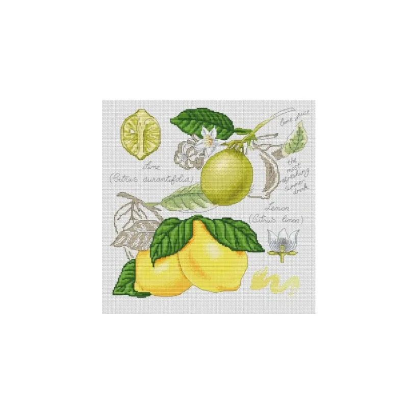 

Needlework Kit NOT PRINTED Cross stich Painting Set Cross Stitch Kits Cross-stitch Embroidery Set Stitch Kits Cross dim 35265