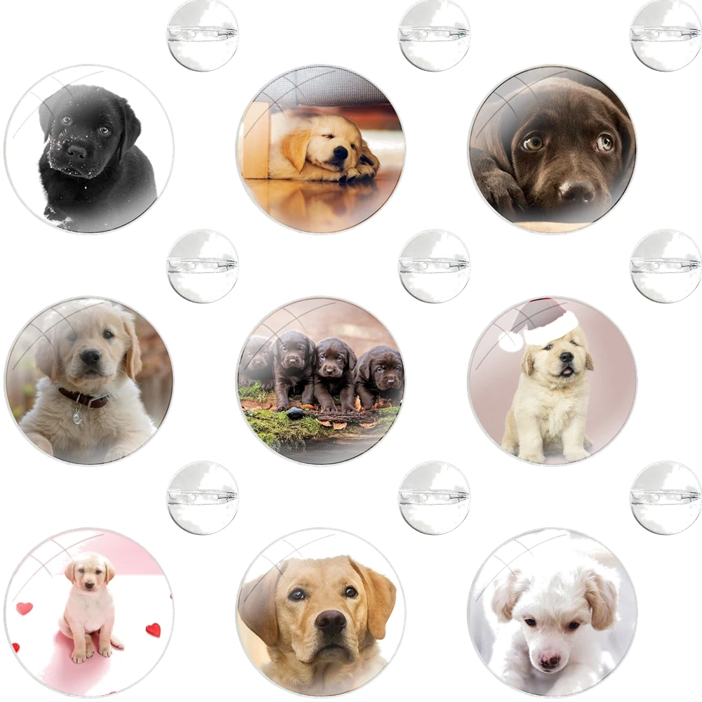 Glass Dome Brooches Shirt Lapel Bag Cute Badge Pins For Clothes Hat Accessories labrador puppies dog