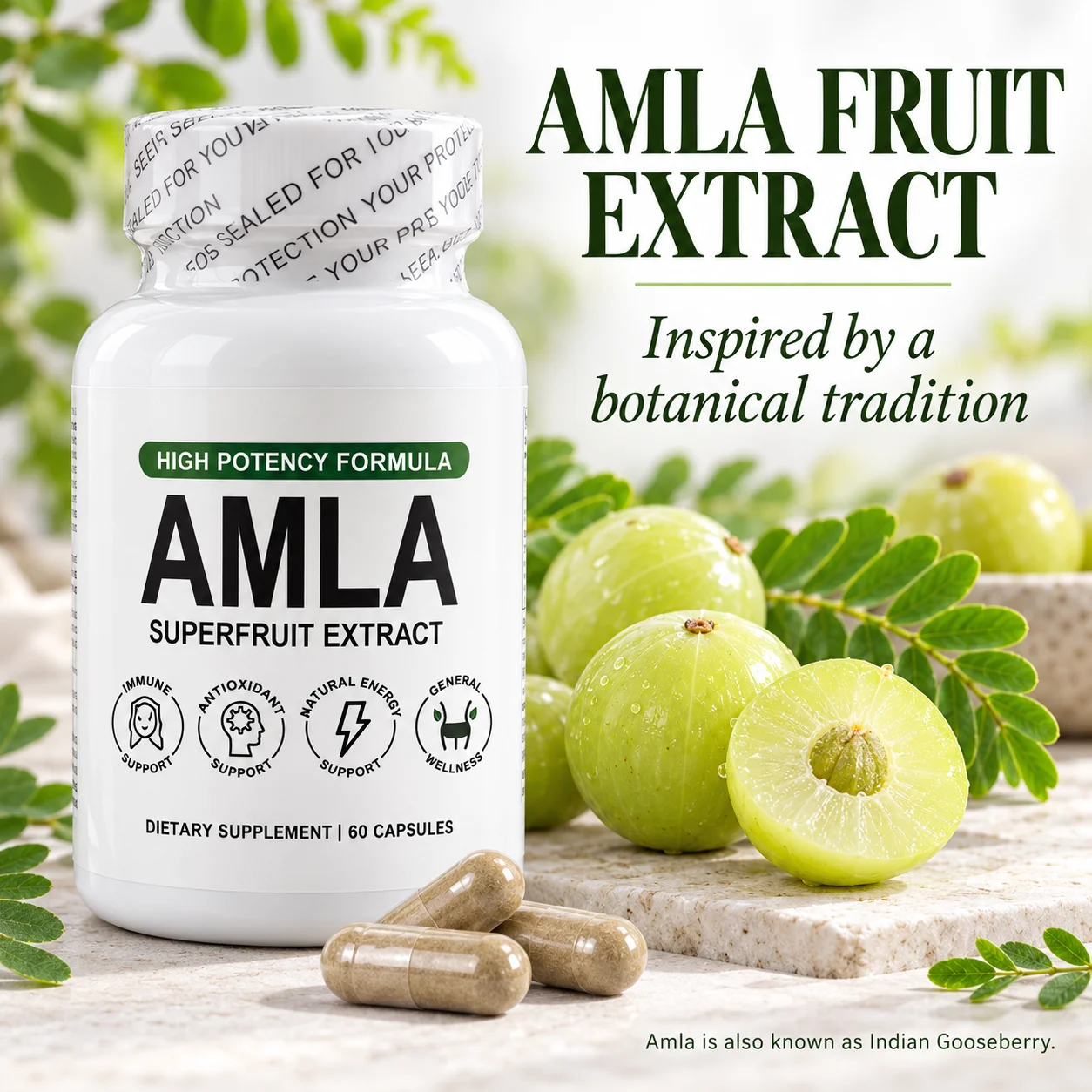Amla Fruit Extract, Indian Gooseberry Supplement with Vegetable Capsule Shell for Daily Wellness & Digestive Support, 60Capsules