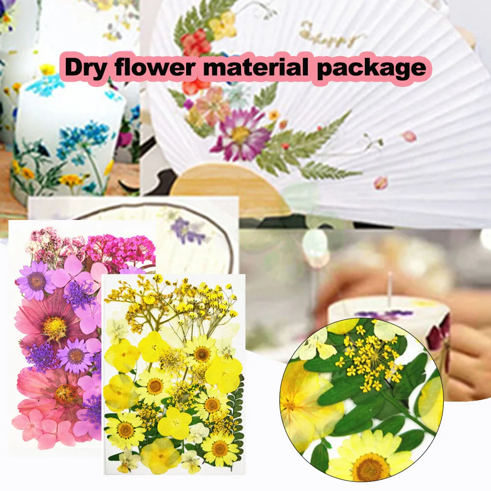 Dried Flowers Embossing Material Multifunctional Floral Art Craft For Pendant Making