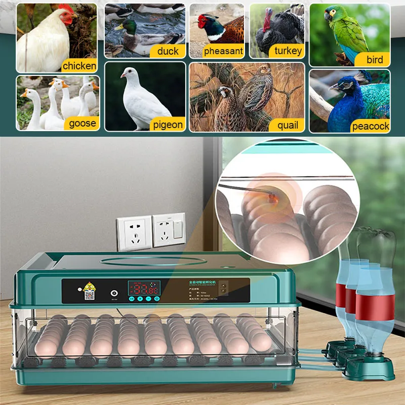 9/15 Brooder Egg Incubator With Drawer Type With Incubator Automatic Water Ionic Waterbed Replenishment And Temperature Control