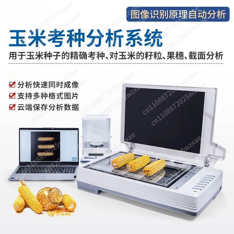 Maize Seed Examination And Analysis System Maize Whole Ear Analyser Seed Examiner Section Analysis System