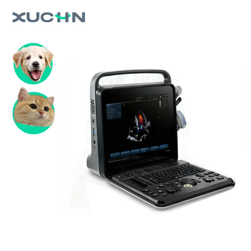 Pet-Specific Por                 Detector (Veterinary Equipment) 15 Inch High Resolution LCD Display CE Certified Class I