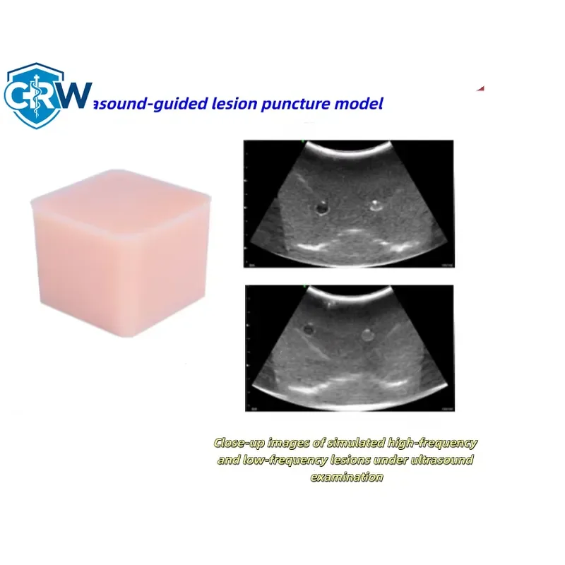 CRW Bestselling Mini Portable Ultrasound-Guided Lesion Puncture Model for Targeted Marker & B-Ultrasound Training