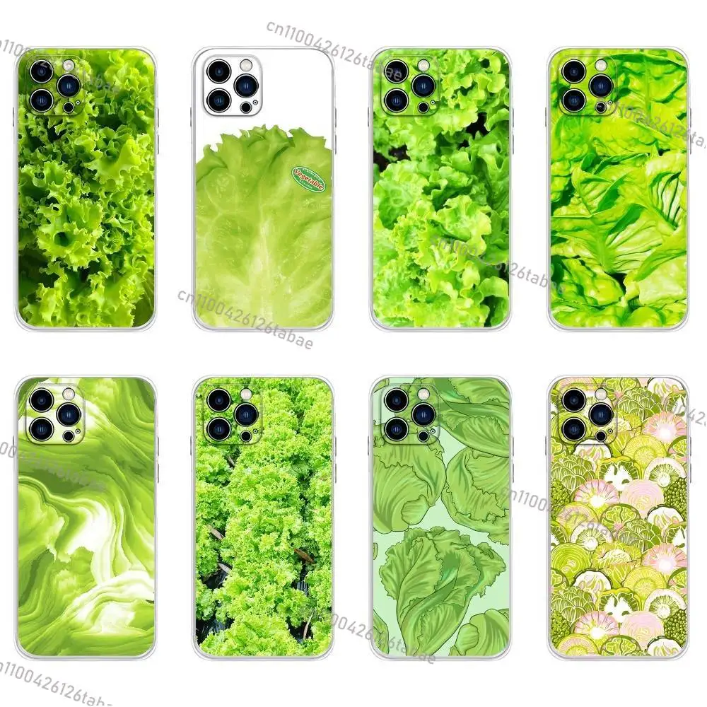 

INS Cabbage Lettuce Printed Phone Case For iPhone 16,15,Pro,Max,14,Plus,13,12,11,E Mini Air,17,Pro Drop Protection Cover TPU