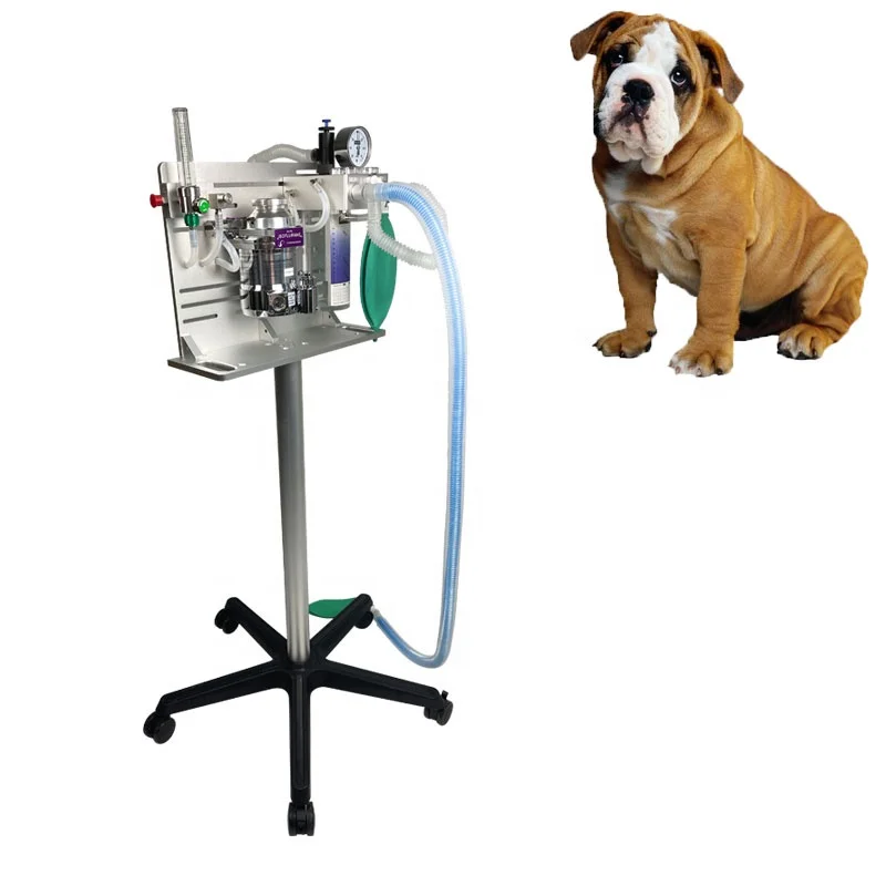 Veterinary Anesthesia Pet Clinic Anesthesia System Portable Anesthesia Ventilators Machine For Animal