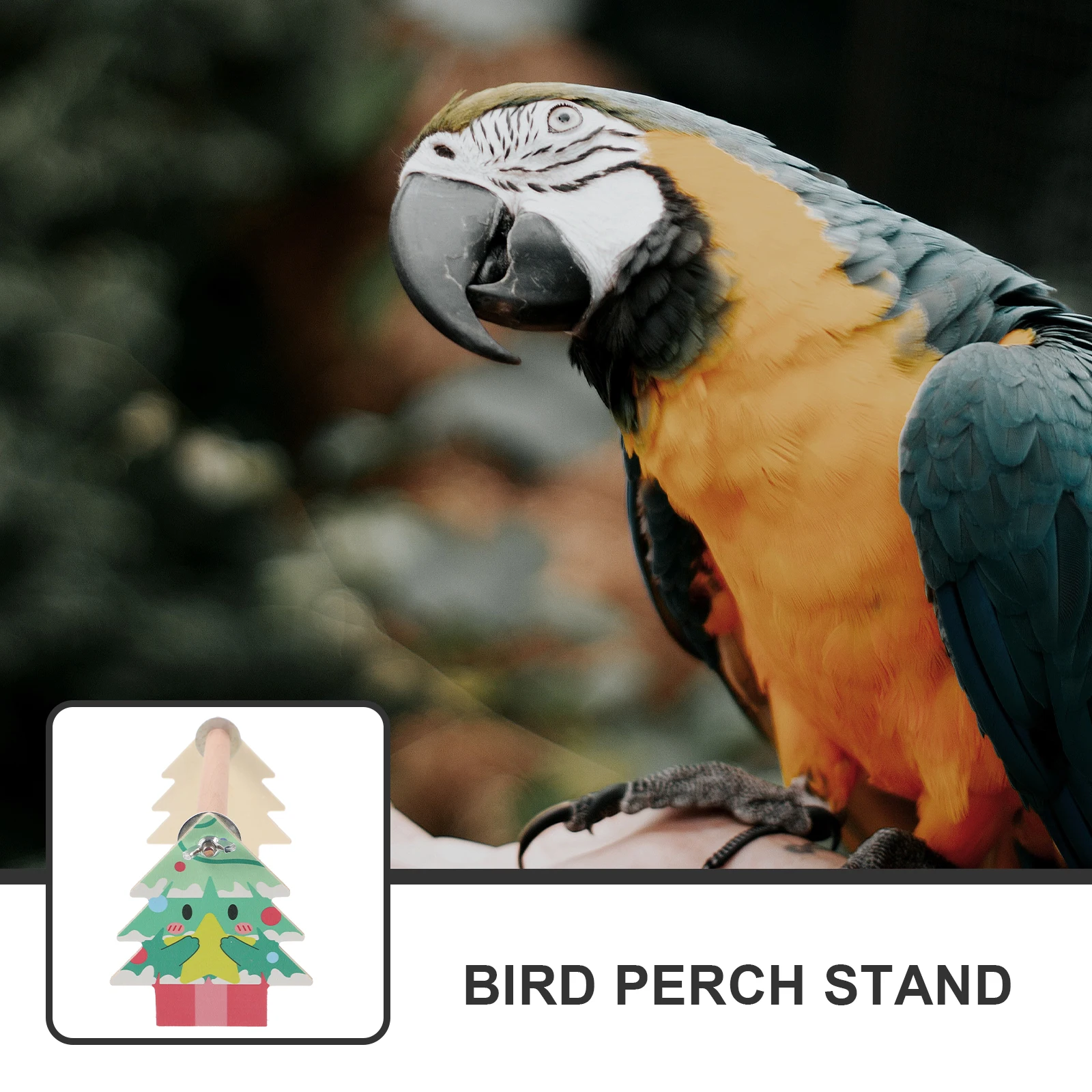 

Bird Stand For Parrots Natural Wood Tabletop Perch Platform Training Stand Sturdy Desktop Cage Accessories Suitable For