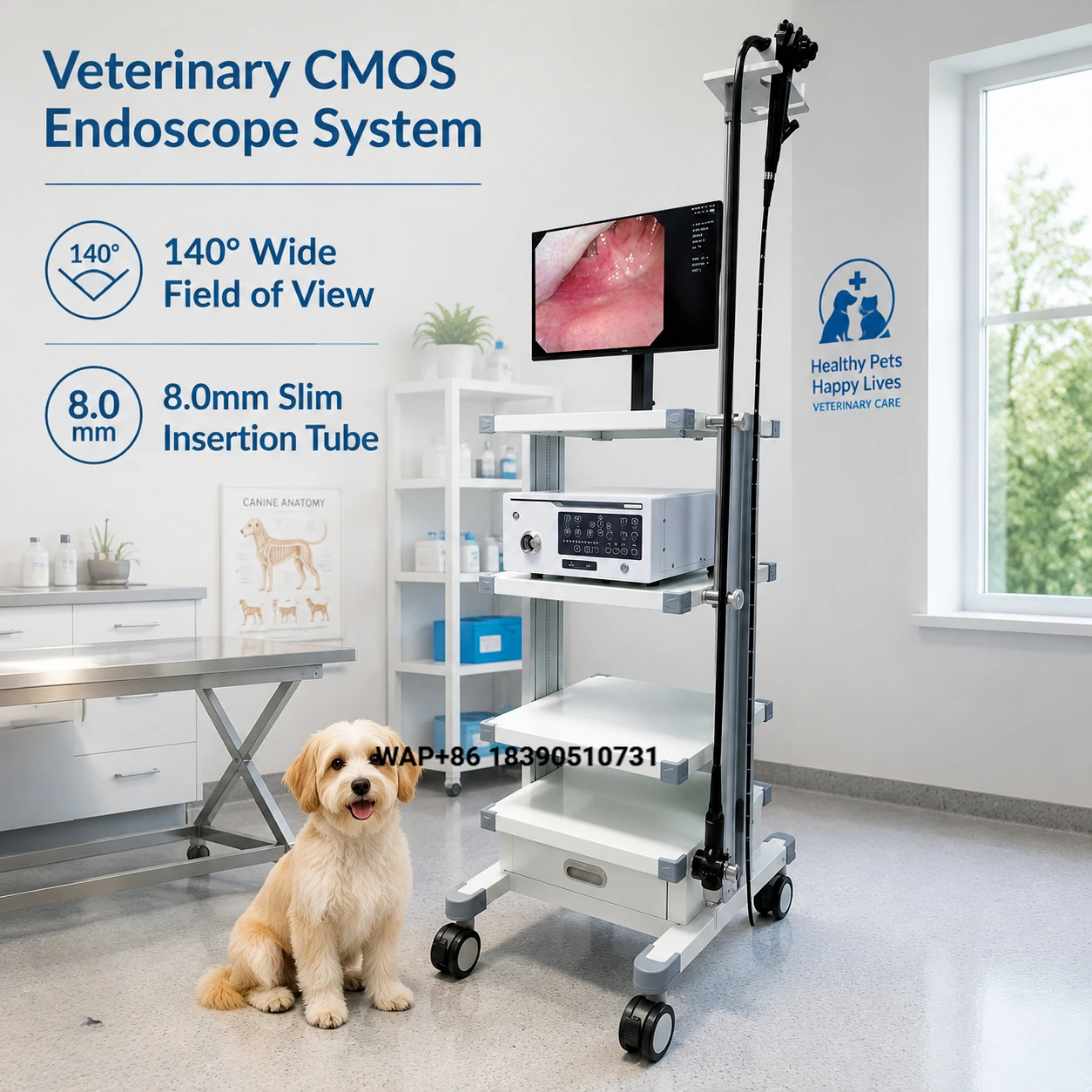 EUR VET Veterinary Equipment Endoscope Cart Equipment Set, Adjustable Brightness Air Pump Portable Endoscope Machine