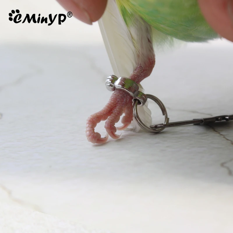 Parrot Foot Rings Metal Pet Bird Leg Rings Outdoor Fly Training Activity Anti-Lost Opening Clip Leash Accessories 0.45 To 1.15CM