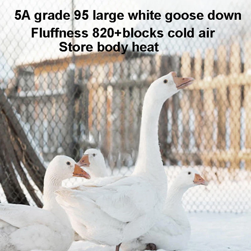 100% الأبيض أوزة أسفل لحاف الألحفة المخملية المعزي لينة ربيع الخريف سميكة الدافئة الشتاء لحاف فندق المنزل 1.5*2/1.8*2.2/2*2.3 متر