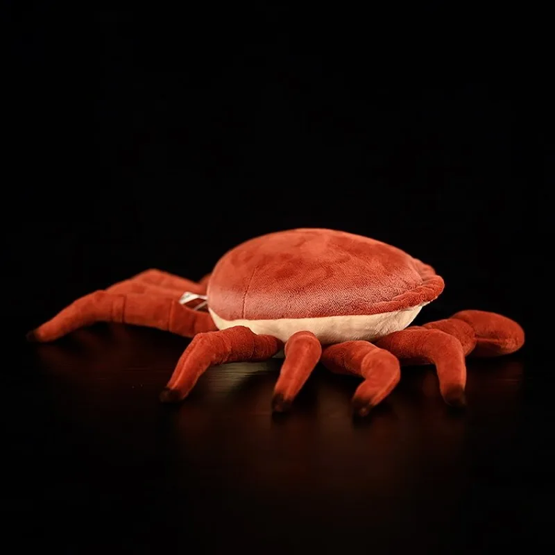 ZWY Original Realistic Bread Crab Plush Toy Edible Crab Stuffed Animal with Lifelike Unique Marine Creature Collectible Gift