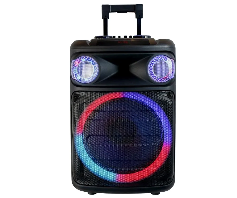 15 inch speaker lcd screen RGB light party box 310 karaoke bass audio bafle speaker