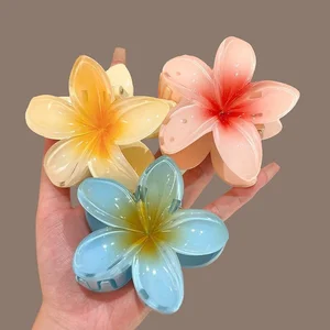 Toller Acrylblumenhaarklauenclip für Frauen, süße Krallen, Krabbennahrungsmittel, Clips, Hawaian -Kopfbedeckung, Strandzubehör 10 Hauptverkaufsclip für Blumen - №4