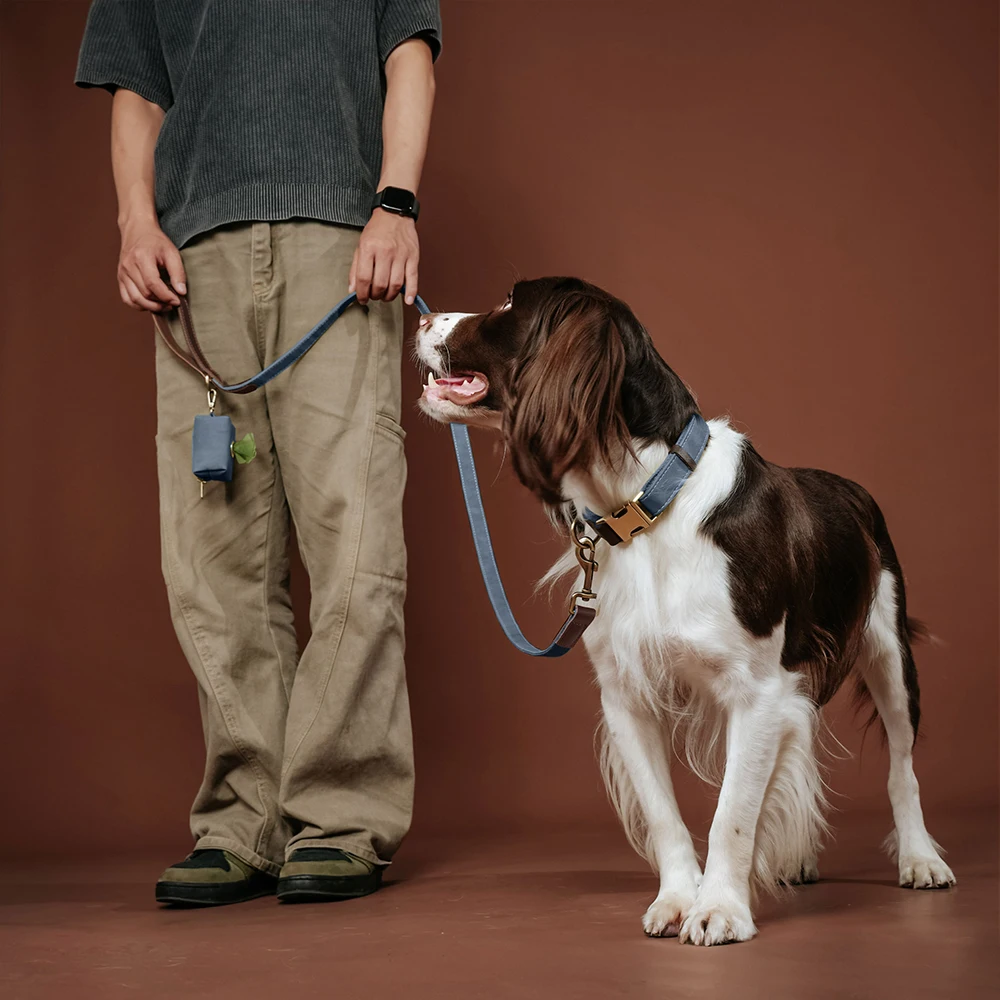 1,5m Lange PU-Leder Gepolsterte Hundeleine Langlebige & Retro-Hundeleine für Kleine und Mittelgroße Hunde in 9 Farben Erhältlich – Detail 15