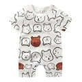 coffee brown bear
