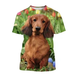 Fashion Cute Dachshund 3D Printed T-shirt Animal Dog Pattern Short-sleeved Men's T Shirt Tops Oversized Casual Street Tees