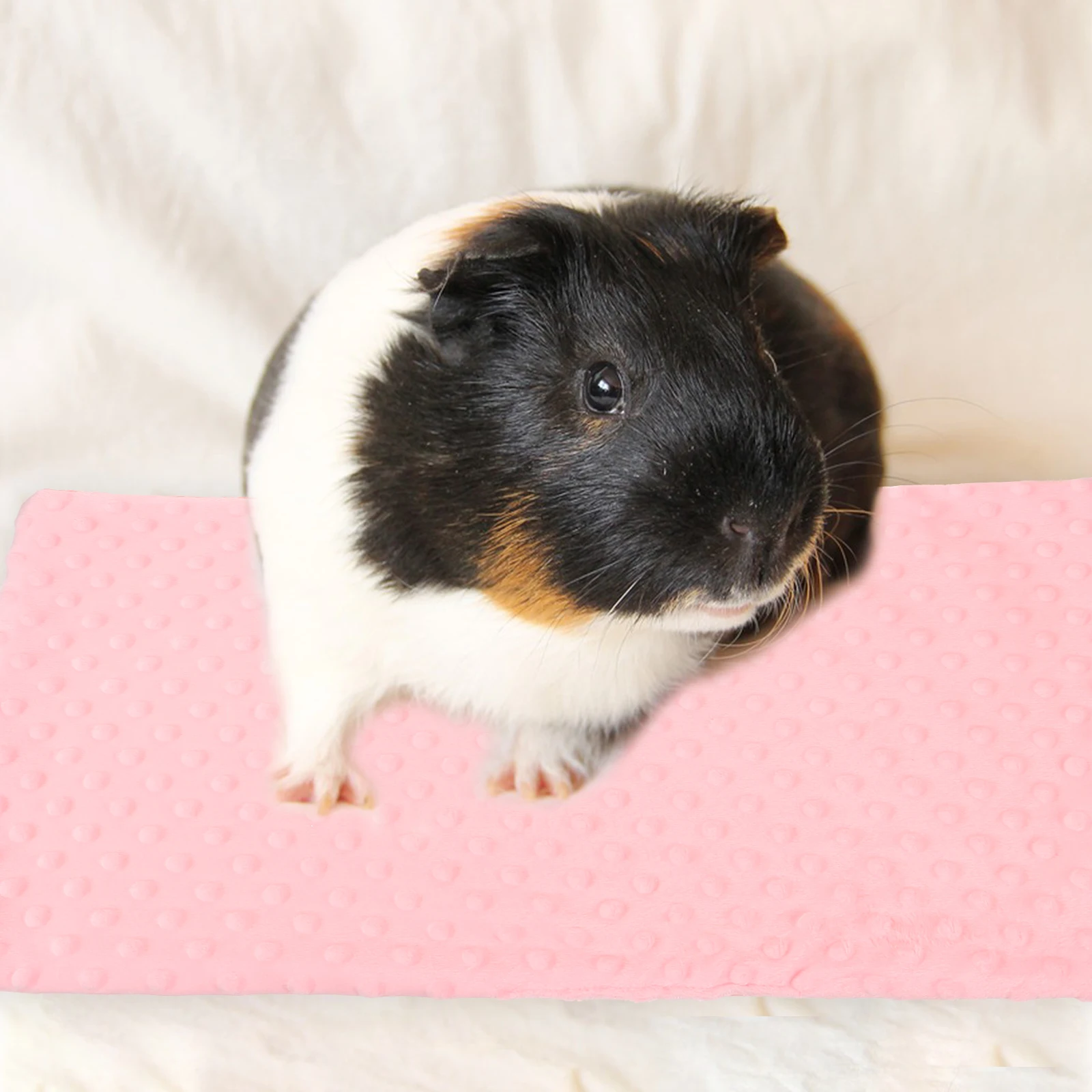 

Pet Warm Blanket Guinea Pig Blankets Rat Cage Liners Hamster Bath Towel Small Pet Bedding Fleece Mats for Rabbits Large Size