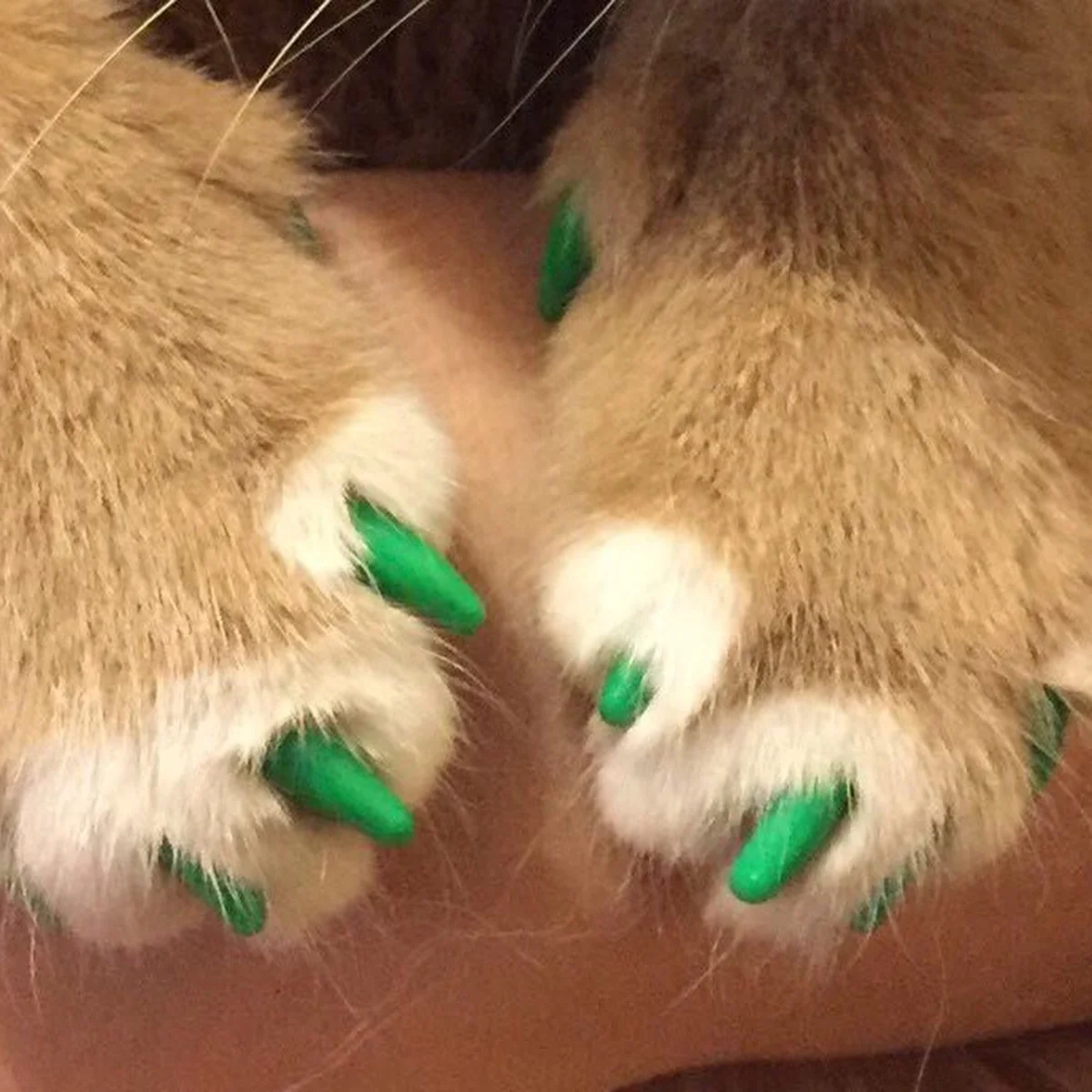 

40Pcs Cat Claw Covers Durable Gel Adhesive Protect Furniture Scratch Control Nail Protectors Xs Green