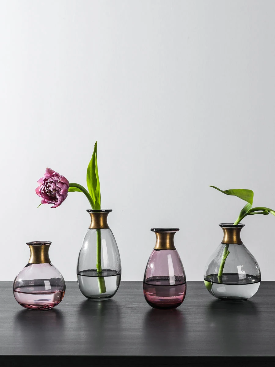 Glass Vase with Copper Ring Mouth, Small Flower Pot Terrarium, Dry Hydroponic Systems, Container for Wedding, Home Decoration, N