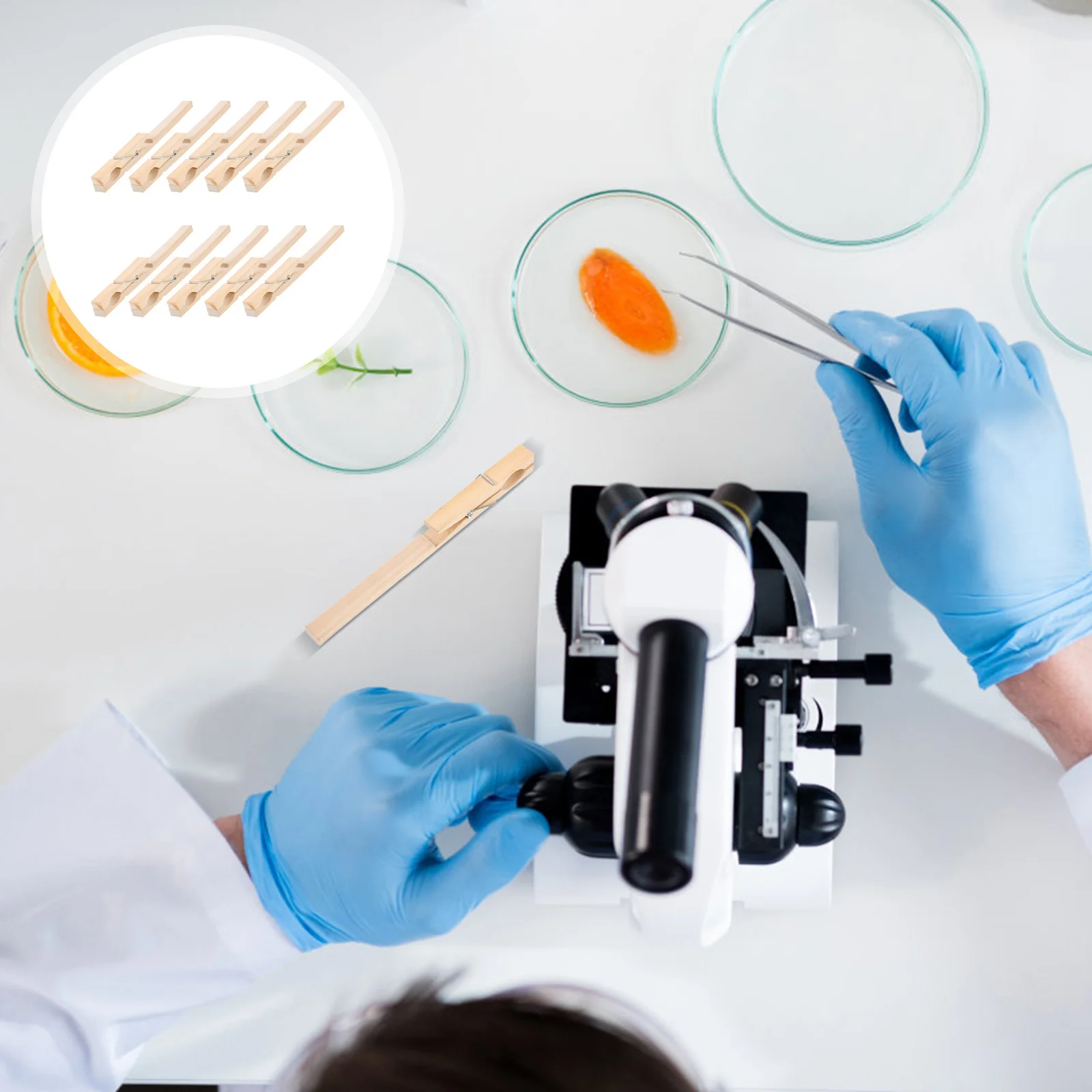 

10 Pcs Test Tube Clip Lab Dispensing Tools Clear Tubes Clamp Glass Clamps Laboratory Detachable