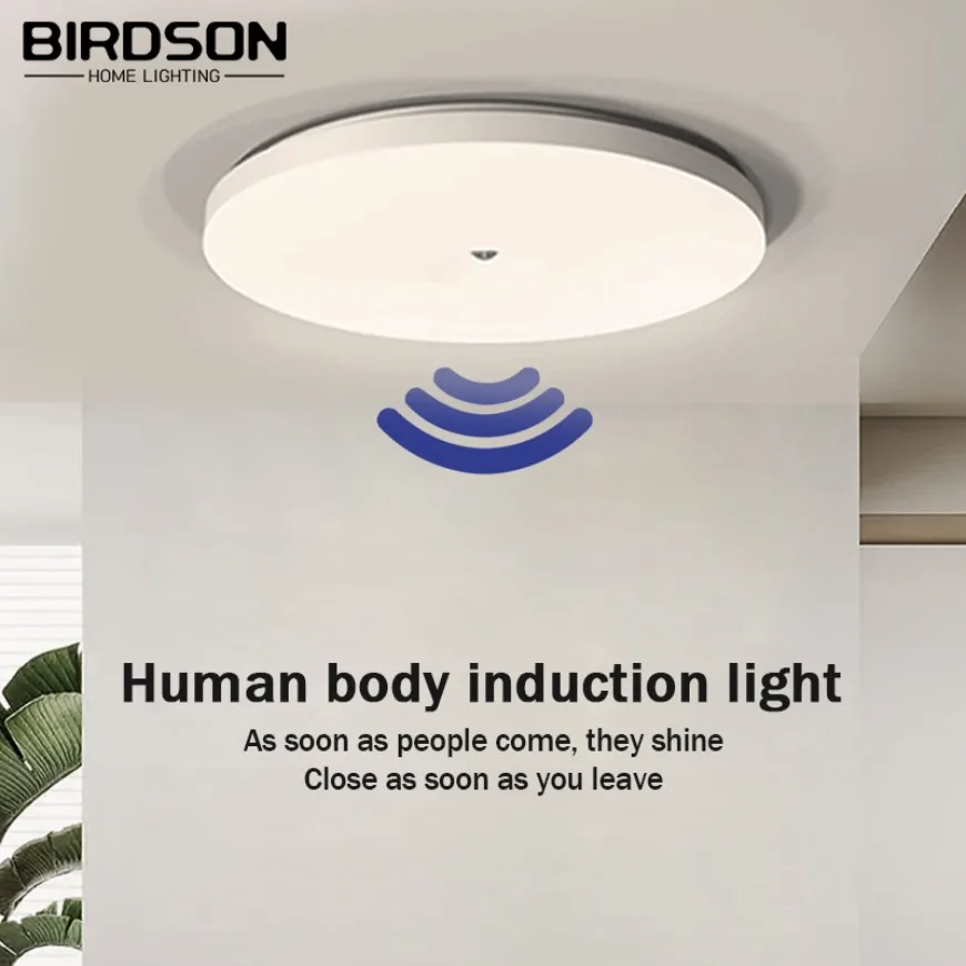 Motion Sensor LED Ceiling Light Circular Human Body Infrared Sensing Light Household  Front Door Corridor Staircase Home Light