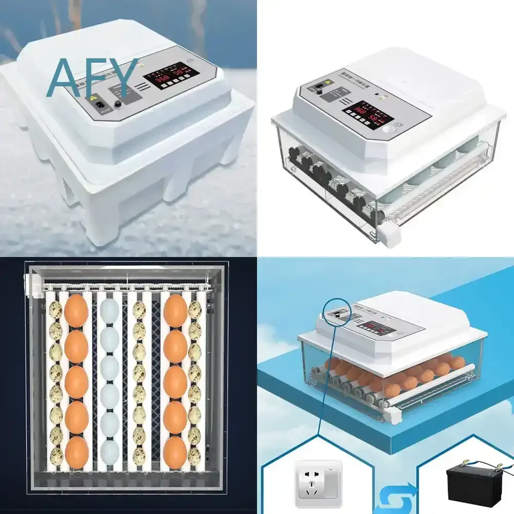 Egg Incubator for Home Appliances Automatic Intelligent Small Household Incubator for Chick Duck Goose Pigeon Quail Hatching
