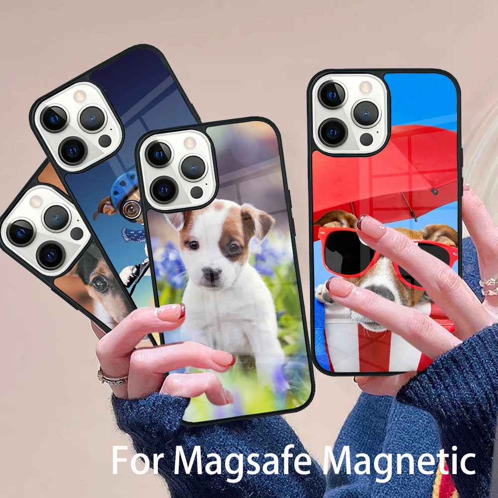 

Jack Russell Terrier Dog Funny Phone Case Magesafe Magnetic Wireless Charge Cover For IPhone 16 11 12 13 14 15 Pro Max Plus Mini