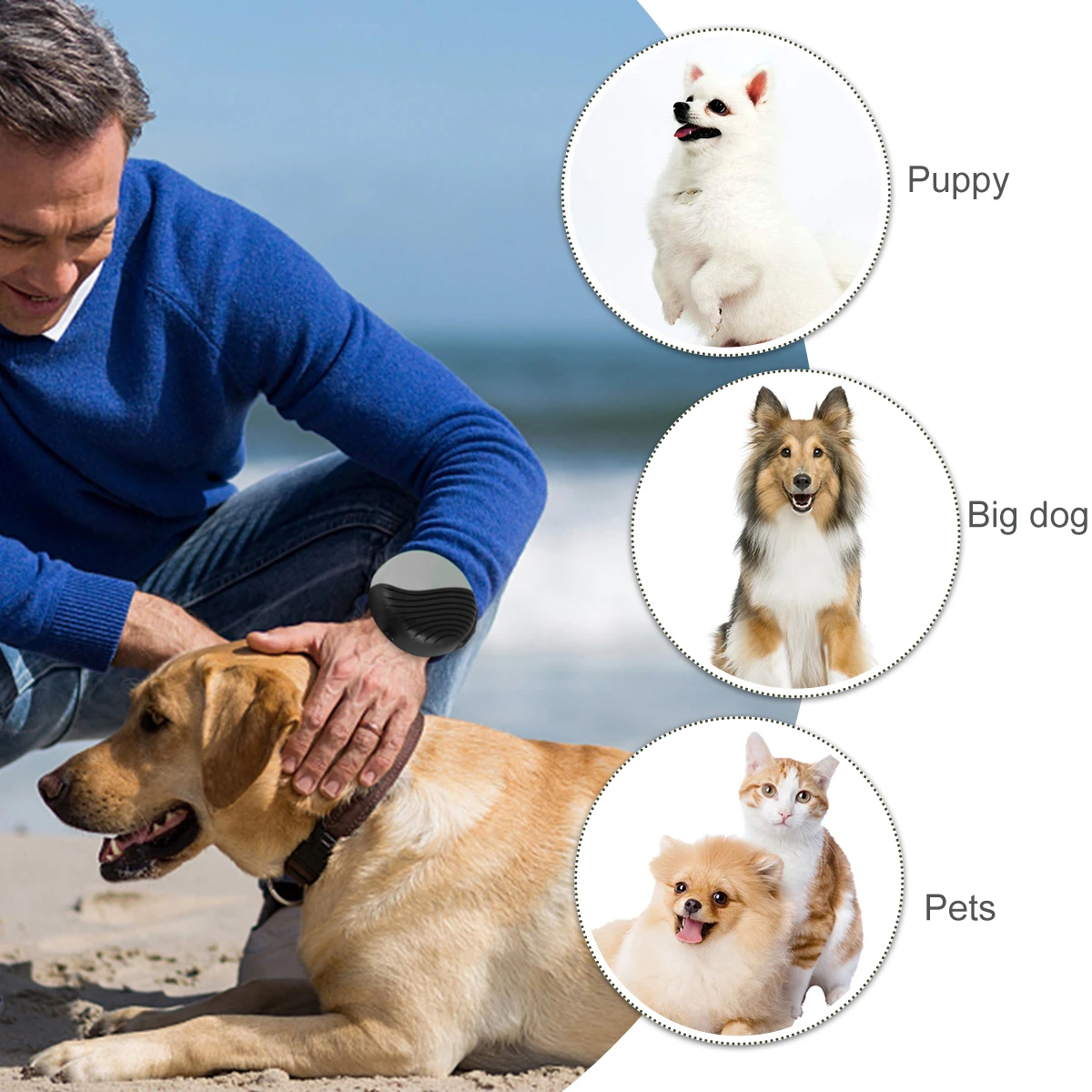 

Automatic Retractable Dog Walking Leash Lightweight Pet Traction Strap Nylon Rope for Daily Jogging Camping Adjustable