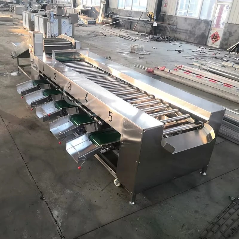 Motorized Fruit Vegetable Grading Sorting Machine Onion Potato Date Processing Customized