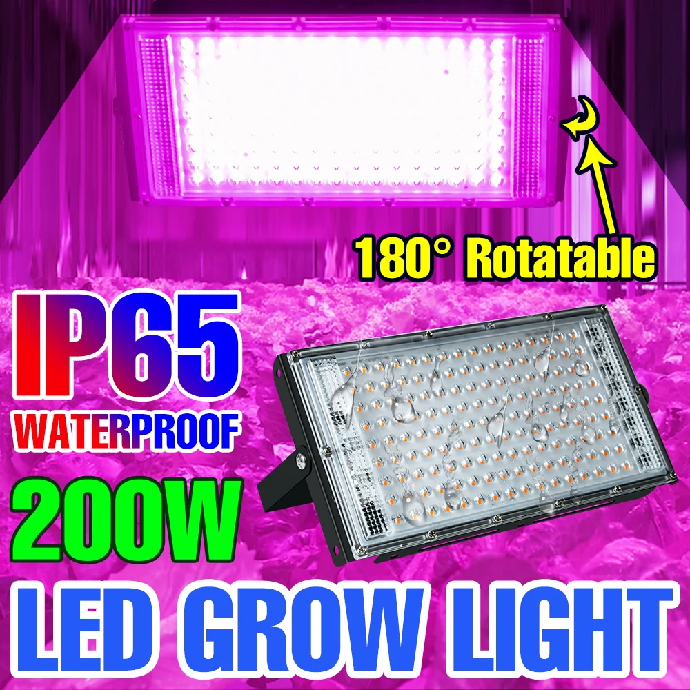 200W LED Grow Light Full Spectrum Hydroponics Plant Cultivation Lamp AC220V For Greenhouse Tent Growth Box Fill Lighting EU Plug