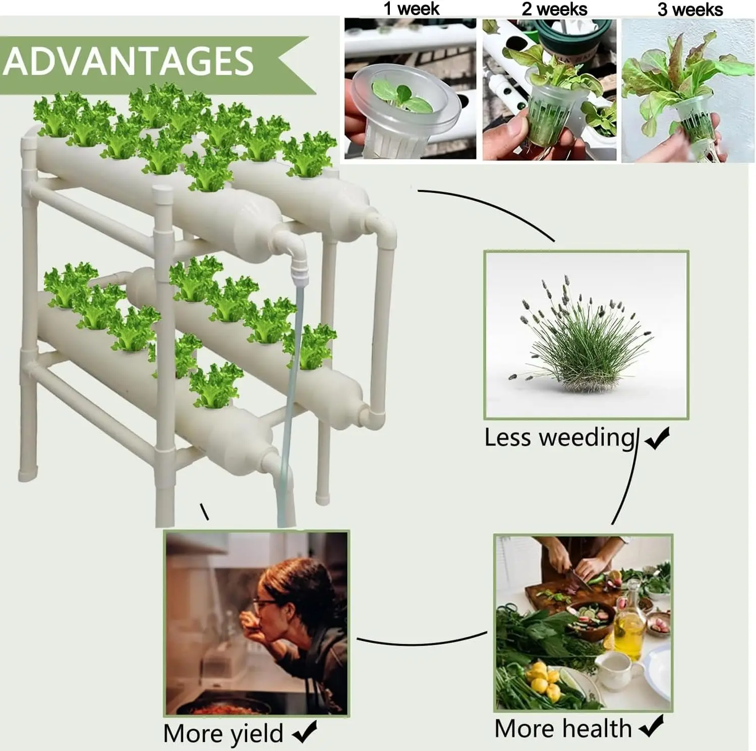 Hydroponic Growing System 20 H - огляд і ціна Hydroponic Kit