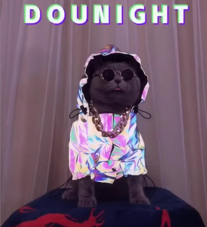 Reflective Design Outdoor Windproof Rainproof Dog Coat For Large Dogs Raincoat