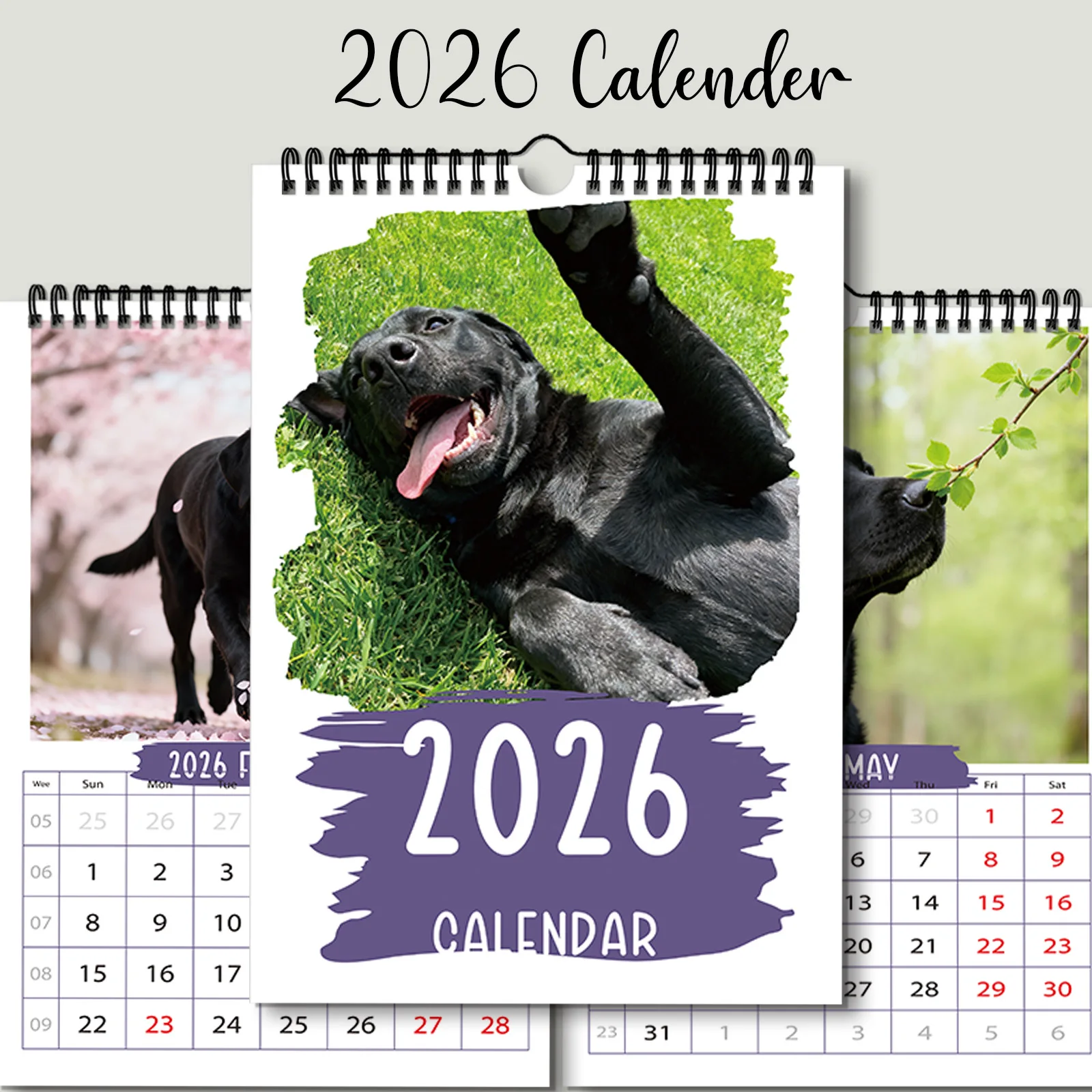 ปฏิทินสุนัขสีดำและมีพลังที่น่ารัก 1 ชิ้น เหมาะสำหรับการตกแต่งห้องนั่งเล่น เหมาะสำหรับคนรักสัตว์เลี้ยงที่มีความเสถียรทางอารมณ์