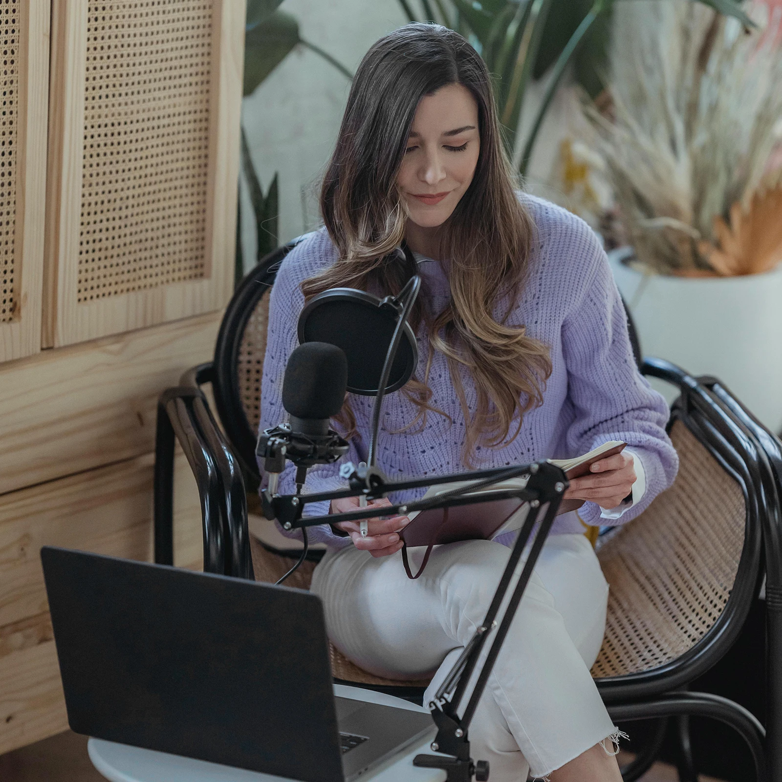 二層スタジオマイク,フレキシブルウィンドスクリーン,サウンドフィルター,マイクシールド,スピーカー録音アクセサリー