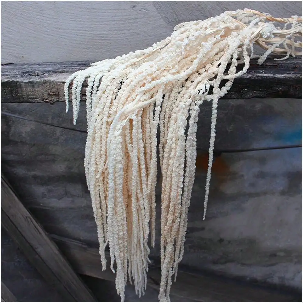 Guirlande de vigne artificielle en soie pour mariage, arche de jardin, festival, rotin, décoration romantique pour la maison, la table, l'extérieur, DIY, coffret cadeau