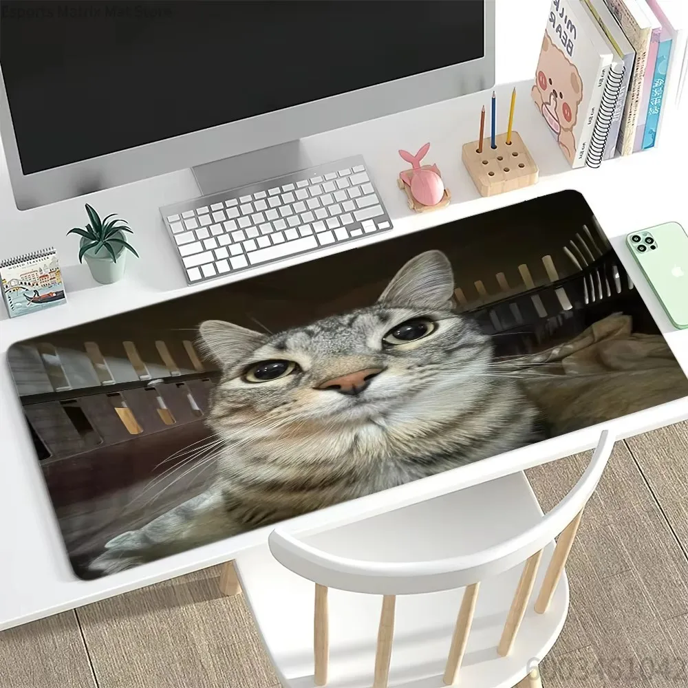 

Funny Rock Meme Cat Mouse Pad, Black Large Desk Mat for Gamers & Cat Lovers