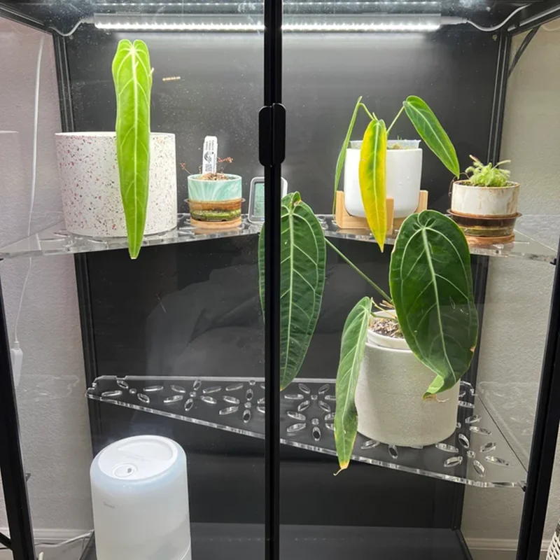 9mm Thickness Indoor Greenhouse Acrylic Shelf for Rudsta Wide Custom Greenhouse Cabinets Shelves Flowers Storage Rack Display