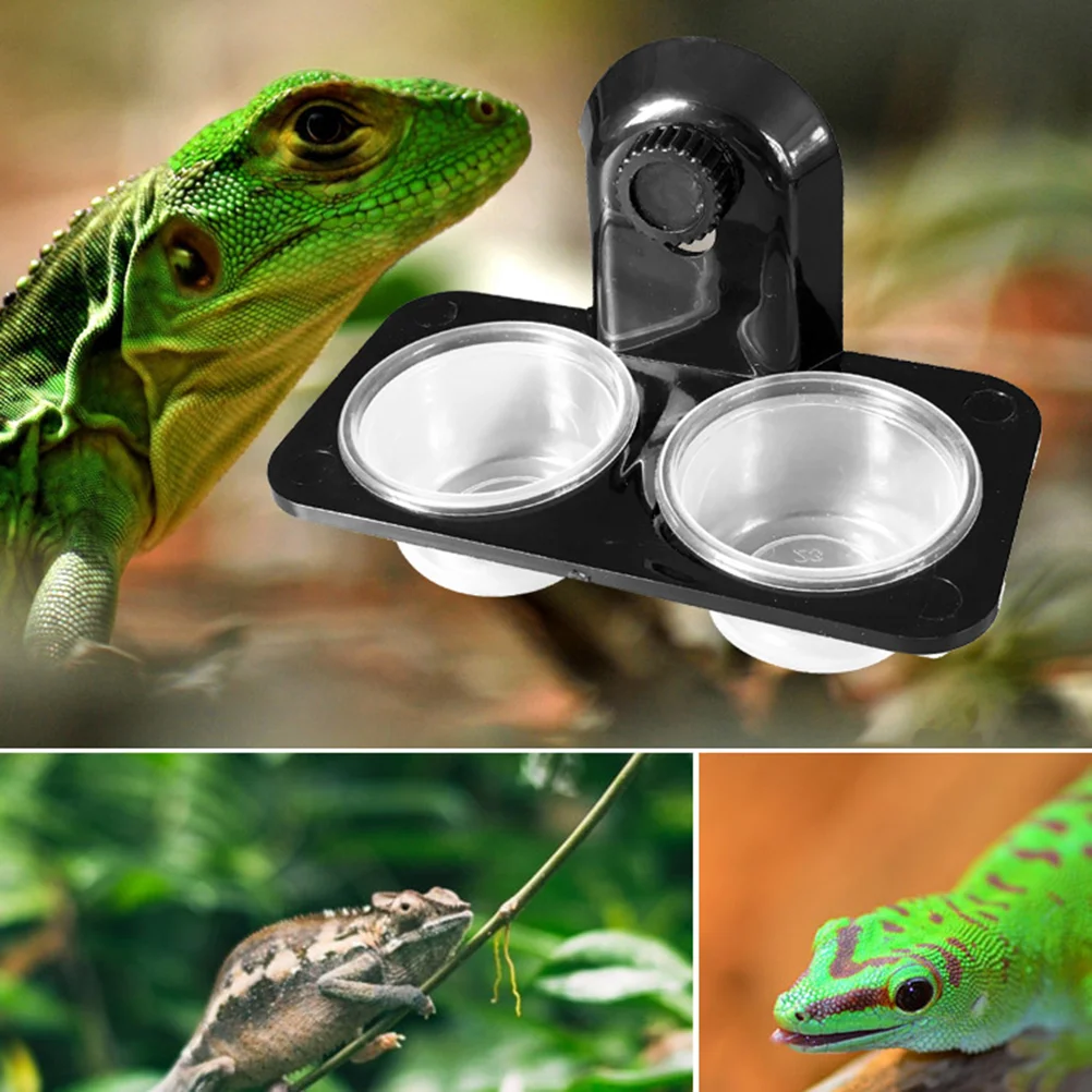 Magnetic Gecko Ledge Pet Supplies Turtle Reptile Terrariums Animal Feeder Food Glass Bowl Spider to