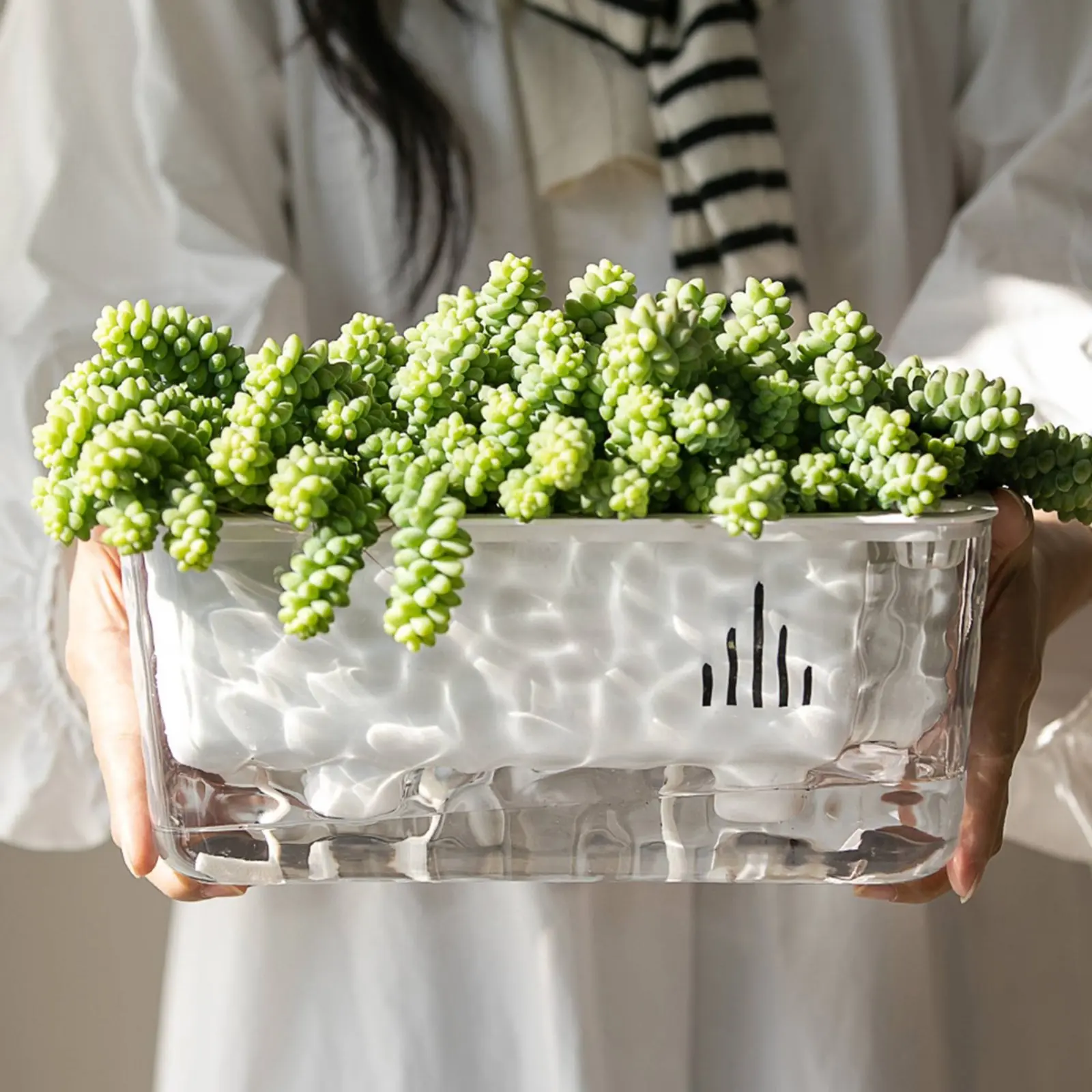 Automatic-Watering Planter Long-Lasting PET Material Transparent Plant Pot Rectangular Flower Pot Frosted Textured Design