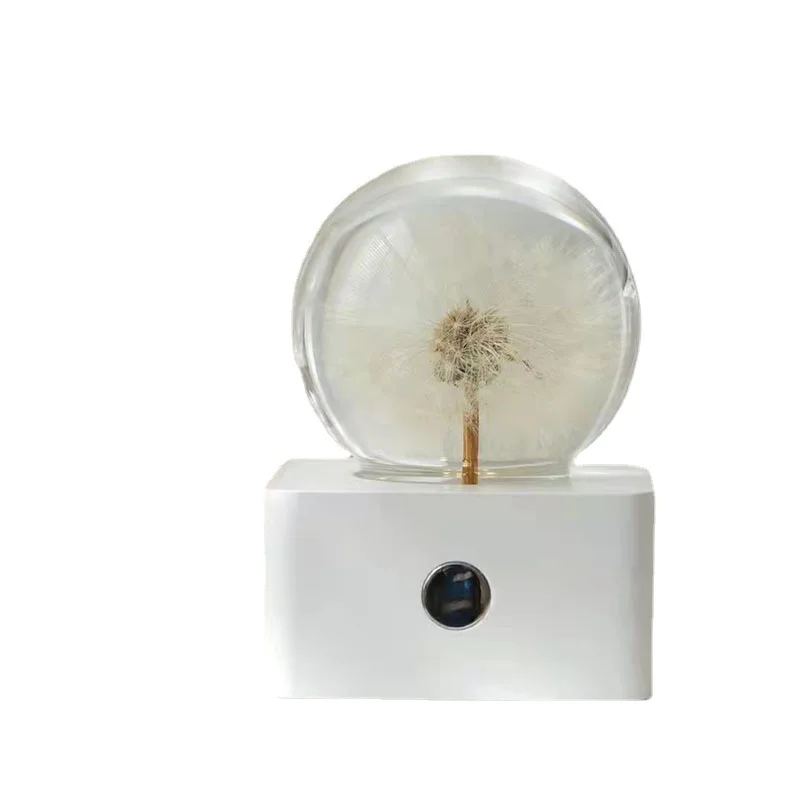 

Creative crystal ball white base dandelion night light, solid wood night light, resin handicraft ornament