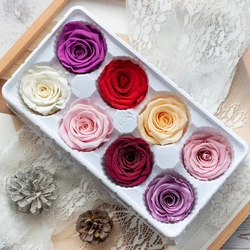 8 sztuk/pudło zachowane świeże główki kwiatów róży 4-5CM suszony kwiat róże dla misia Handmade DIY wieczny kwiat układ prezent