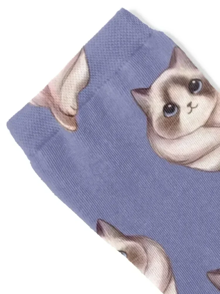 Lavender Ragdoll Cat Blue Eyes Painting Socks gift aesthetic anti-slip funny sock Socks Male Women's
