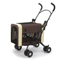 C3 coffee color