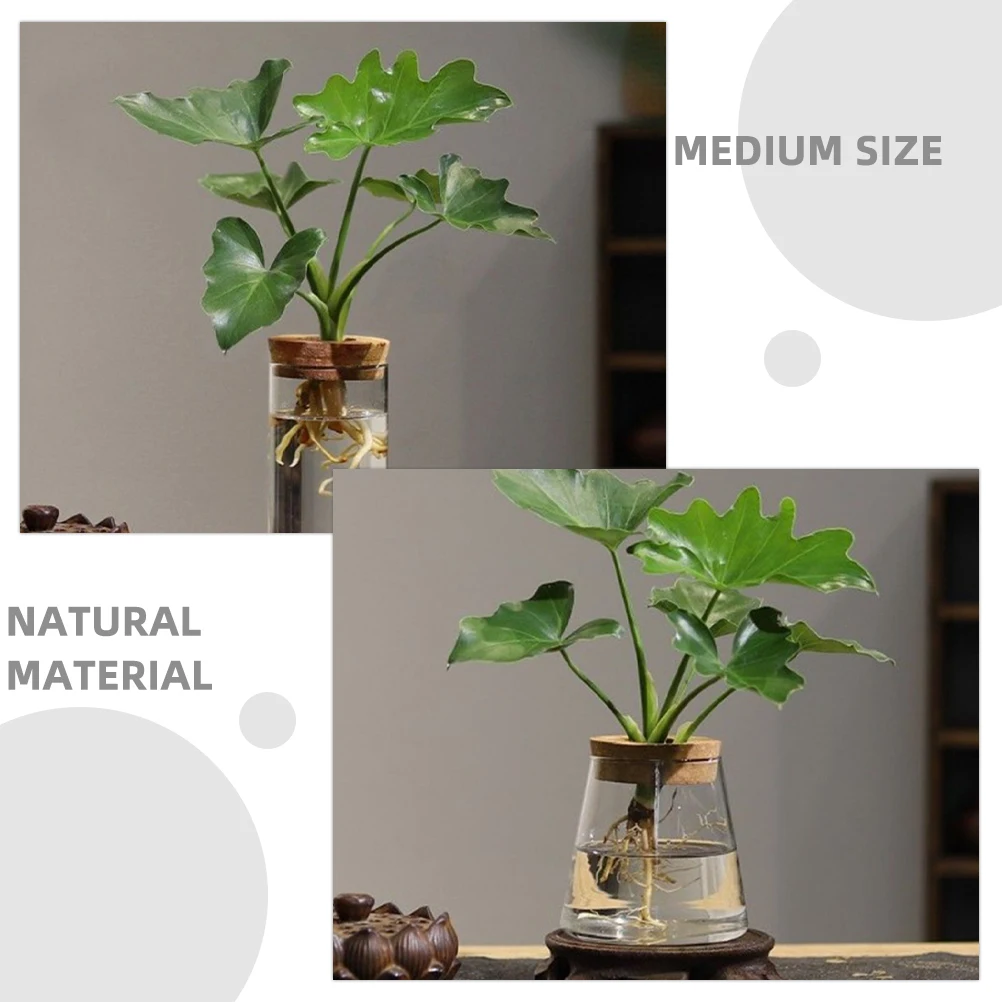 5Pcs 65cm Center Hole Wooden Lid Hydroponic Glass Vase Versatile Size for Various Bottles Easy Plant Growth Glass Terrarium