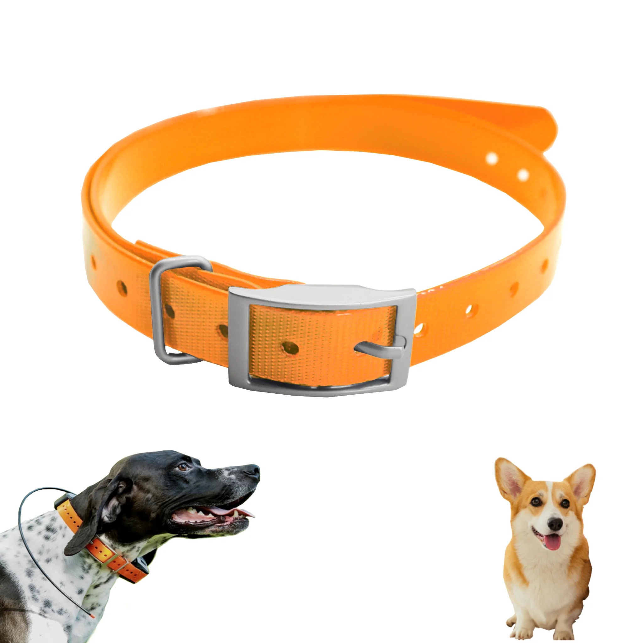 Thumbnail 3 - #21 Ranked Adjustable Pet Collars Picks in 2026