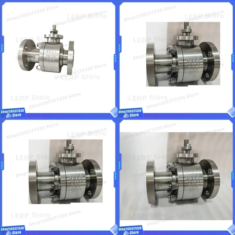 ASTM B348 Gr2 Pure Titanium Swing Check Valve Horizontal Flange Metal Seat Anti Corrosion Industrial Pipeline Fitting