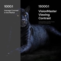 NEW Valerion VisionMaster Pro2 Triple Laser Projector 4K HDR10+,3000 Lumens,15000:1
