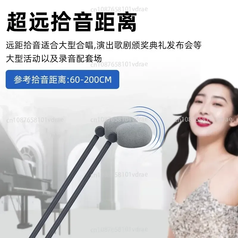 Large-scale Choir, Upright Dual-pole Speech Microphone, Theater Vocal Condenser Microphone, Auditorium Stage Wired Microphone