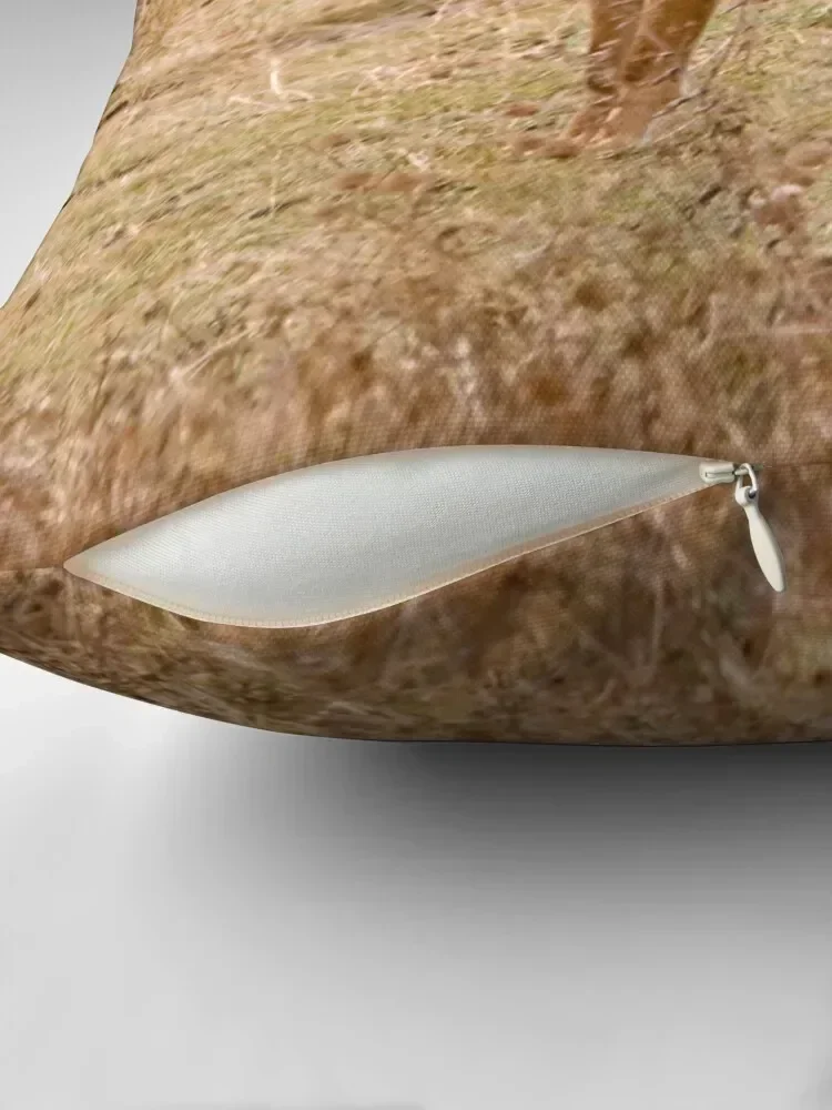وسادة رمي ابن آوى سوداء منقوشة أريكة وسادة مخصصة عناصر ديكور المنزل غطاء ديكور لوسادة غرفة المعيشة